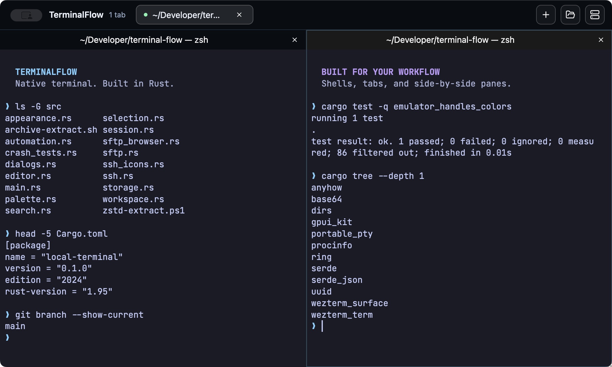 TerminalFlow running two side-by-side shells with project files and Cargo commands